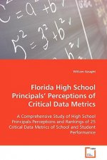 Florida High School Principals' Perceptions of Critical Data Metrics