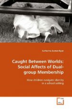 Caught Between Worlds: Social Affects of Dual-group Membership
