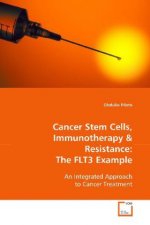 Cancer Stem Cells, Immunotherapy