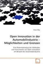 Open Innovation in der Automobilindustrie   Möglichkeiten und Grenzen