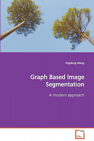 Graph Based Image Segmentation A modern approach