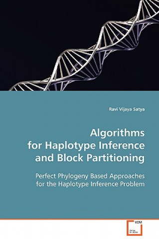 Algorithms for Haplotype Inference and Block Partitioning