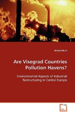 Are Visegrad Countries Pollution Havens?
