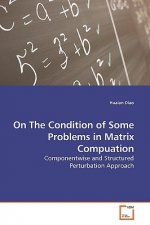 On The Condition of Some Problems in Matrix Compuation