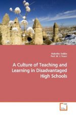 A Culture of Teaching and Learning in Disadvantaged High Schools