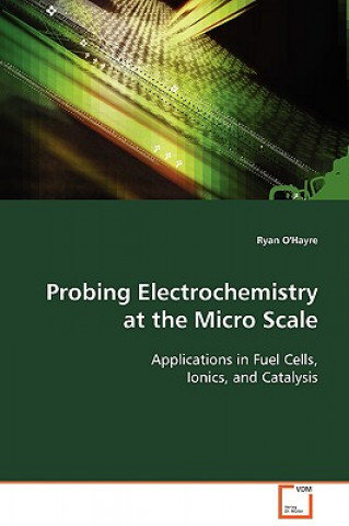 Probing Electrochemistry at the Micro Scale