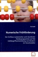 Numerische Frühförderung