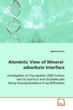 Atomistic View of Mineral-adsorbate Interface
