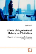 Effects of Organisational Maturity on IT  Initiatives