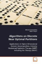 Algorithms on Discrete Near Optimal Partitions