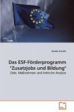Dsa ESF Foerderprogramm Zusatzjobs und Bildung Ziele Massnahmen und kritische Analyse
