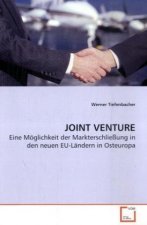JOINT VENTURE