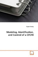 Modeling, Identification, and Control of a CFCFB