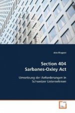Section 404 Sarbanes-Oxley Act