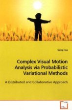 Complex Visual Motion Analysis via Probabilistic  Variational Methods