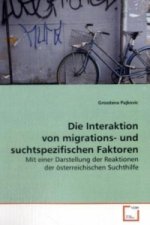 Die Interaktion von migrations- und  suchtspezifischen Faktoren