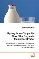 Hydrolysis in a Tangential Flow Filter Enzymatic Membrane Reactor