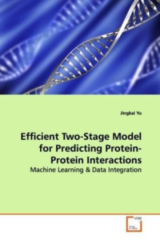 Efficient Two-Stage Model for Predicting Protein-Protein Interactions