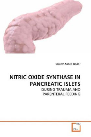 Nitric Oxide Synthase in Pancreatic Islets