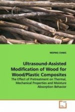 Ultrasound-Assisted Modification of Wood for  Wood/Plastic Composites