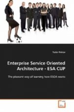 Enterprise Service Oriented Architecture - ESA CUP