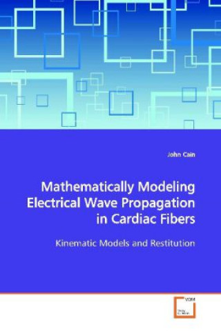 Mathematically Modeling Electrical Wave Propagation in Cardiac Fibers