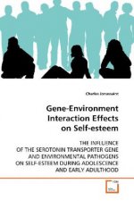Gene-Environment Interaction Effects on Self-esteem