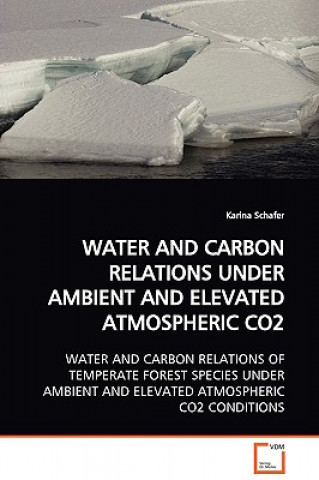 Water and Carbon Relations Under Ambient and Elevated Atmospheric Co2