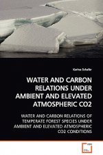 Water and Carbon Relations Under Ambient and Elevated Atmospheric Co2