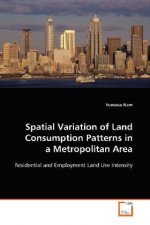Spatial Variation of Land Consumption Patterns in a Metropolitan Area