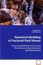 Numerical Modeling of Fractured Rock Masses
