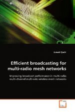 Efficient broadcasting for multi-radio mesh networks