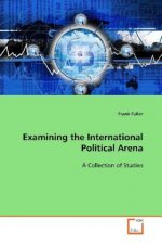 Examining the International Political Arena