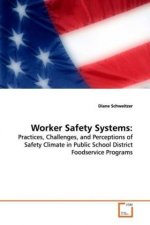 Worker Safety Systems: