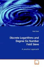 Discrete Logarithms and Degree Six Number Field Sieve