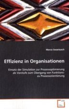 Effizienz in Organisationen