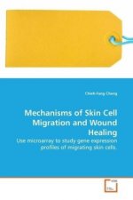 Mechanisms of Skin Cell Migration and Wound Healing