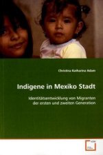 Indigene in Mexiko Stadt