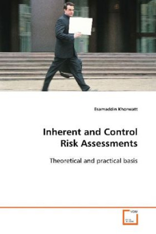 Inherent and Control Risk Assessments