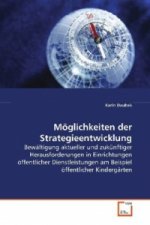 Möglichkeiten der Strategieentwicklung