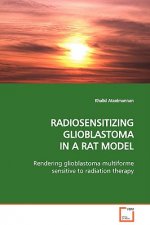 Radiosensitizing Glioblastoma in a Rat Model