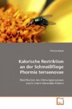 Kalorische Restriktion an der Schmeißfliege Phormia terraenovae