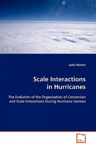 Scale Interactions in Hurricanes