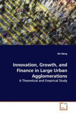 Innovation, Growth, and Finance in Large Urban Agglomerations