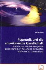 Popmusik und die amerikanische Gesellschaft