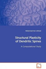 Structural Plasticity of Dendritic Spines
