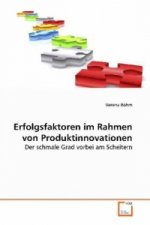 Erfolgsfaktoren im Rahmen von Produktinnovationen