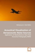 Acoustical Visualization of Aeroacoustic Noise  Sources