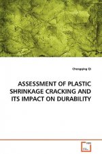 Assessment of Plastic Shrinkage Cracking and Its Impact on Durability