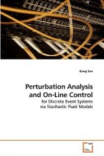 Perturbation Analysis and On-Line Control